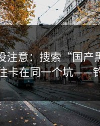 你可能没注意：搜索“国产黑料”的人，往往卡在同一个坑——钓鱼诈骗