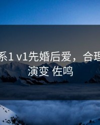 合理关系1 v1先婚后爱，合理关系的演变 佐鸣