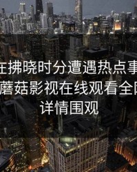 神秘人在拂晓时分遭遇热点事件 勾魂摄魄，蘑菇影视在线观看全网炸锅，详情围观
