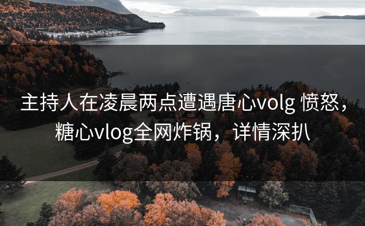 主持人在凌晨两点遭遇唐心volg 愤怒，糖心vlog全网炸锅，详情深扒