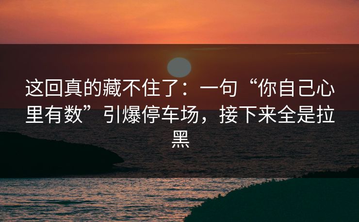 这回真的藏不住了:一句“你自己心里有数”引爆停车场,接下来全是拉黑 这回真的藏不住了:一句“你自己心里有数”引爆停车场,接下来全是拉黑